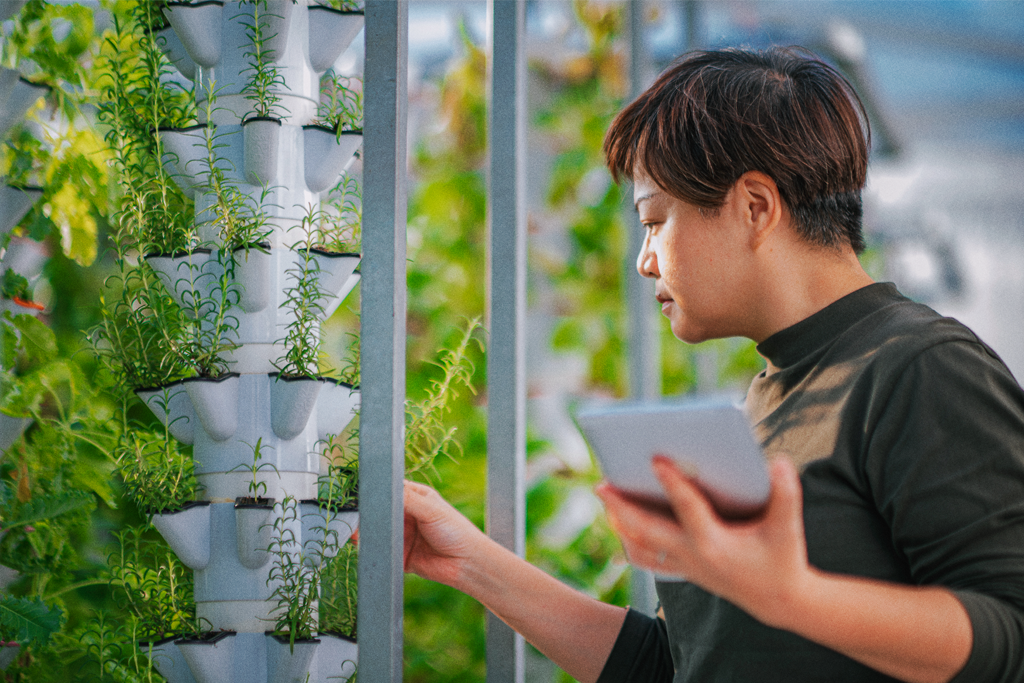 A person checking herbs growing in an indoor garden.