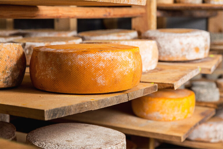 Alcohol-infused wheels of cheese.